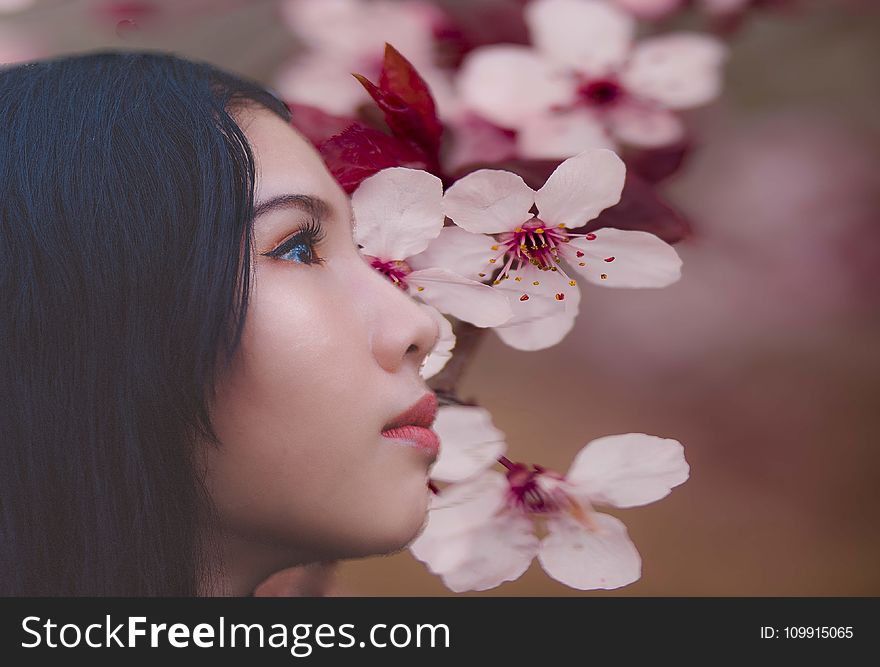 Woman Beside Cherry Blossoms
