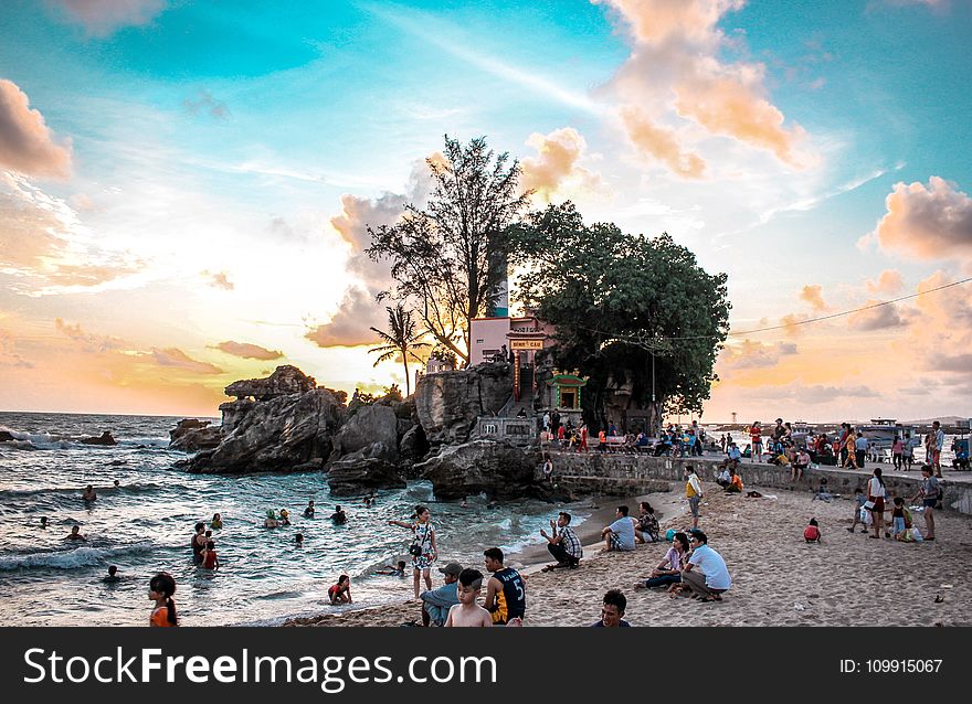 People Near Sea And Green Leaf Tree