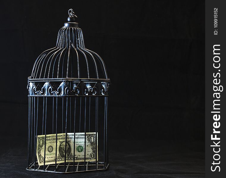 Black Steel Pet Cage With One Dollar