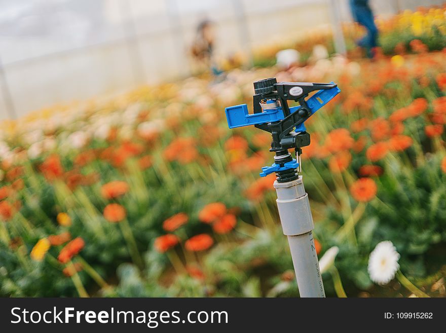 Blue and Gray Garden Sprinkler