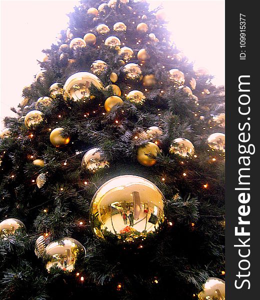 Low Angle Shot of Christmas Tree With Gold-colored Bauble