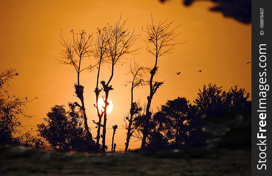 Silhouette Of Pants On Sunset