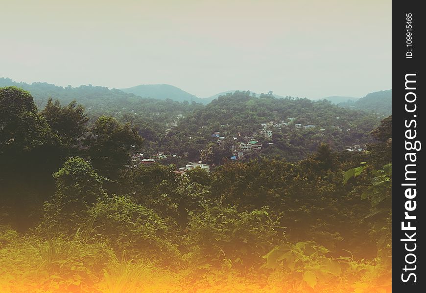 Green Coated Hill With Houses