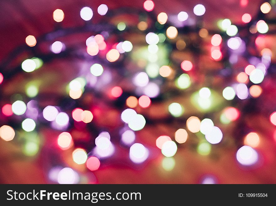 Selective Focus Photography of String Lights