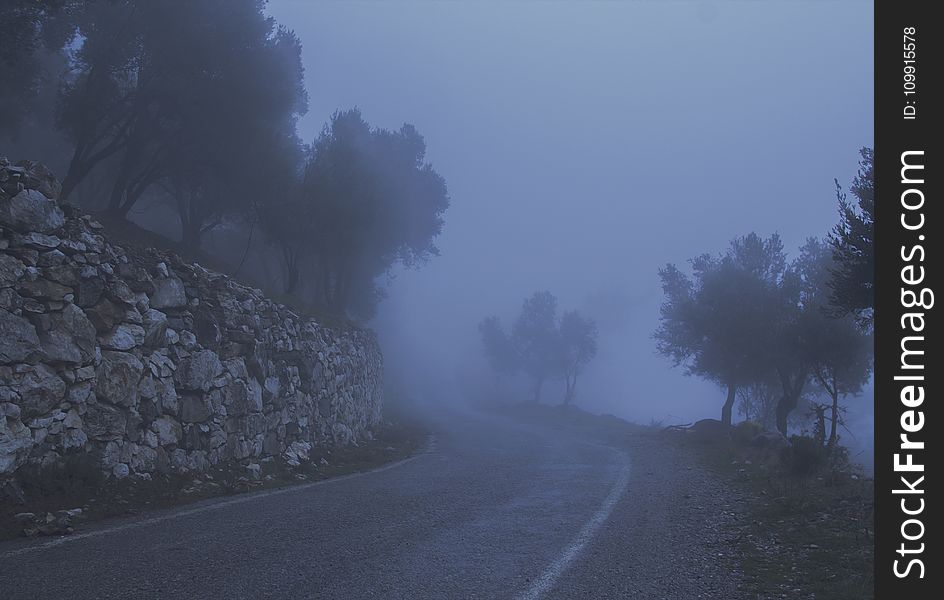 Road Between Trees and a Cliff Covered With Fog