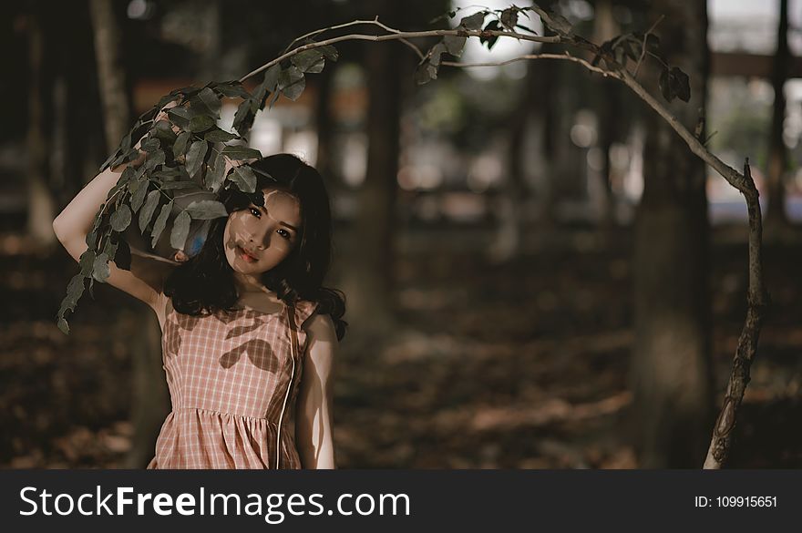 Woman Holding Green Leafed Tree