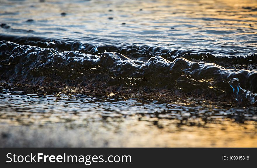 Beach, Close-up, Cold