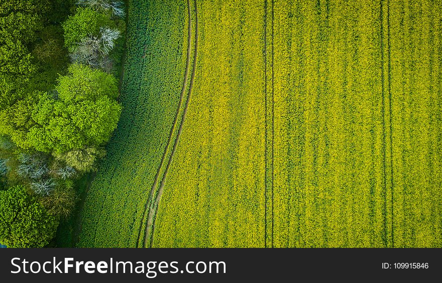 Aerial Photography of Wide Green Grass Field