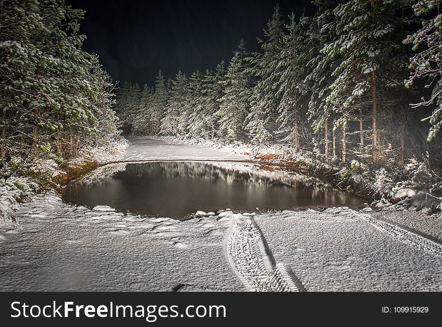 Roadway Filled By Snow Surrounded By Pine Trees Landscape Photography