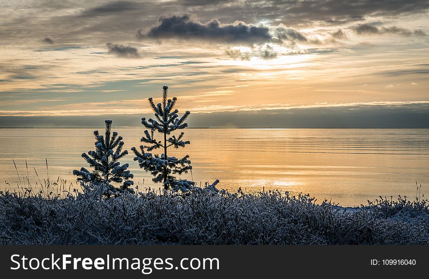 Lake View during Sunset Photo