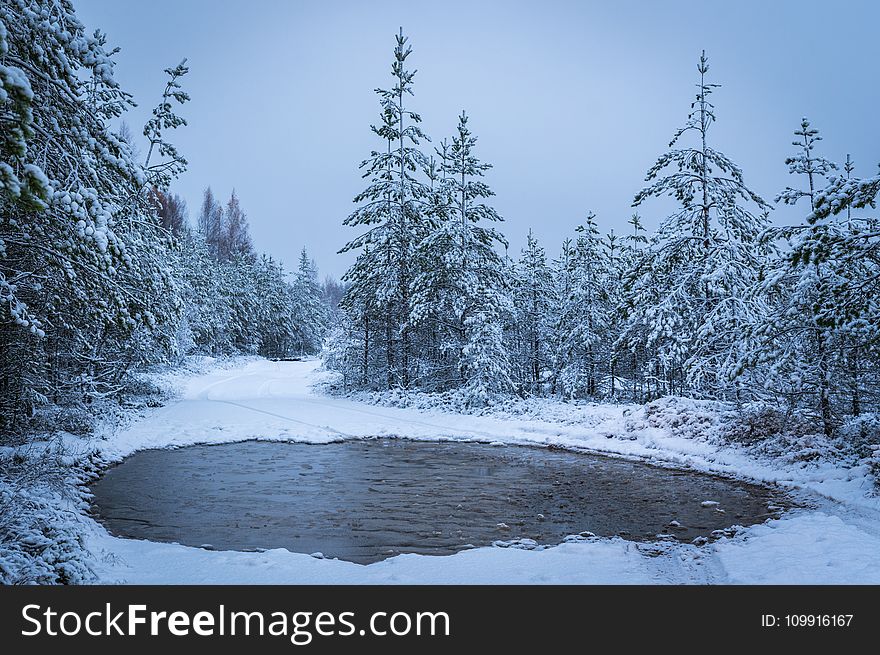 Grayscale Photography of Lake Surrounded With Trees