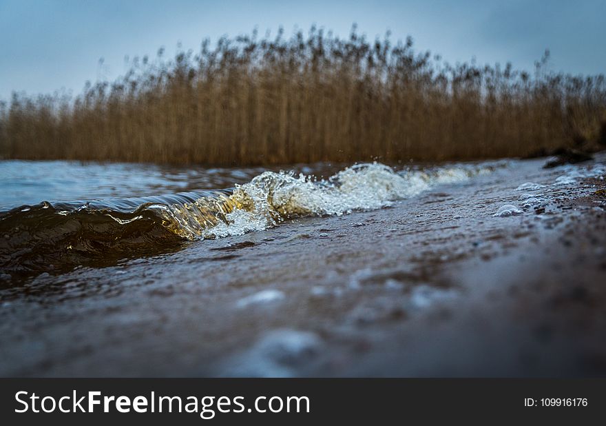 Selective Focus Photography of Sand Near Body of Water