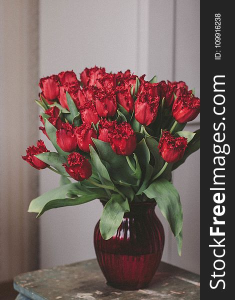 Bouquet of Red Roses on Glass Vase