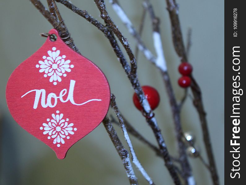Red and White Noel Print Decor