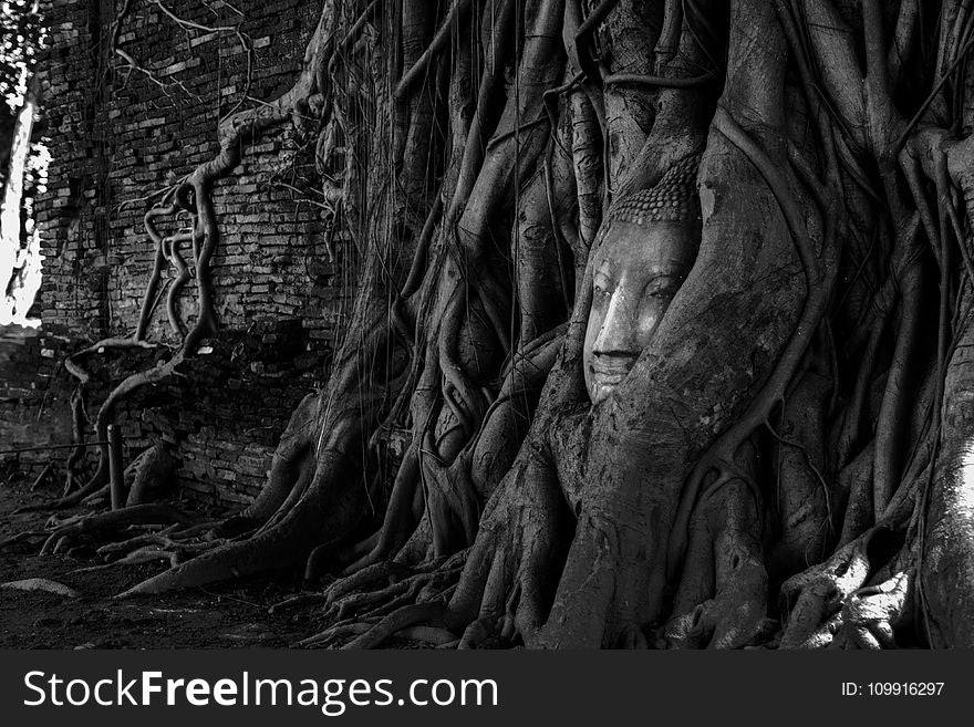 Tree Root With Deity Figurine