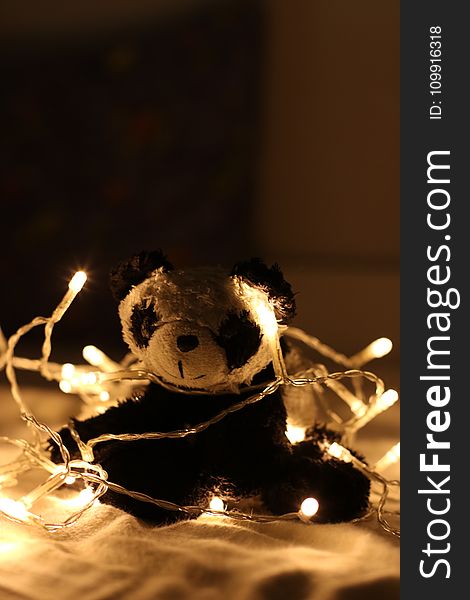 Panda Plush Toy Surrounded by Beige Light Strings