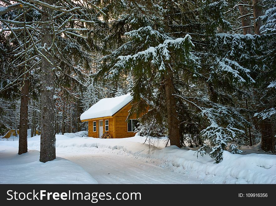 Brown House Near Pine Trees Covered With Snow