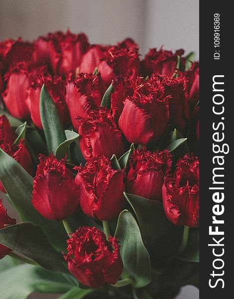 Artificial Red Tulips