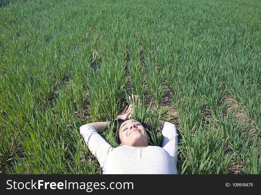 Woman Laying on Field of Green Grass