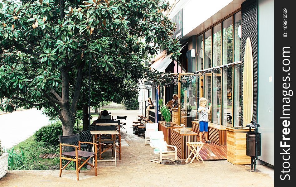 Child Outside Building Near Wooden Furniture and Tree