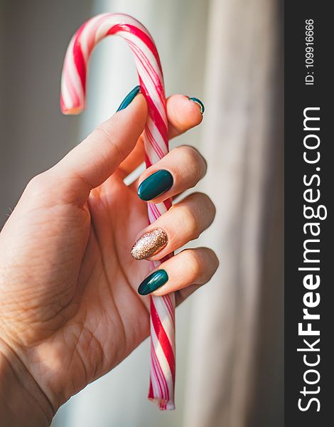 Person Showing White and Red Candy Cane