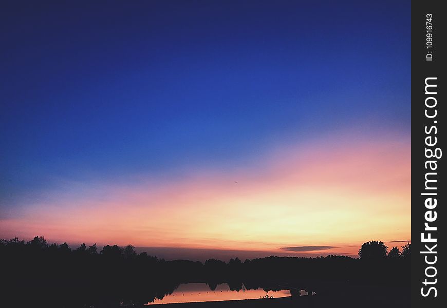 Silhouettes Of Trees During Dawn