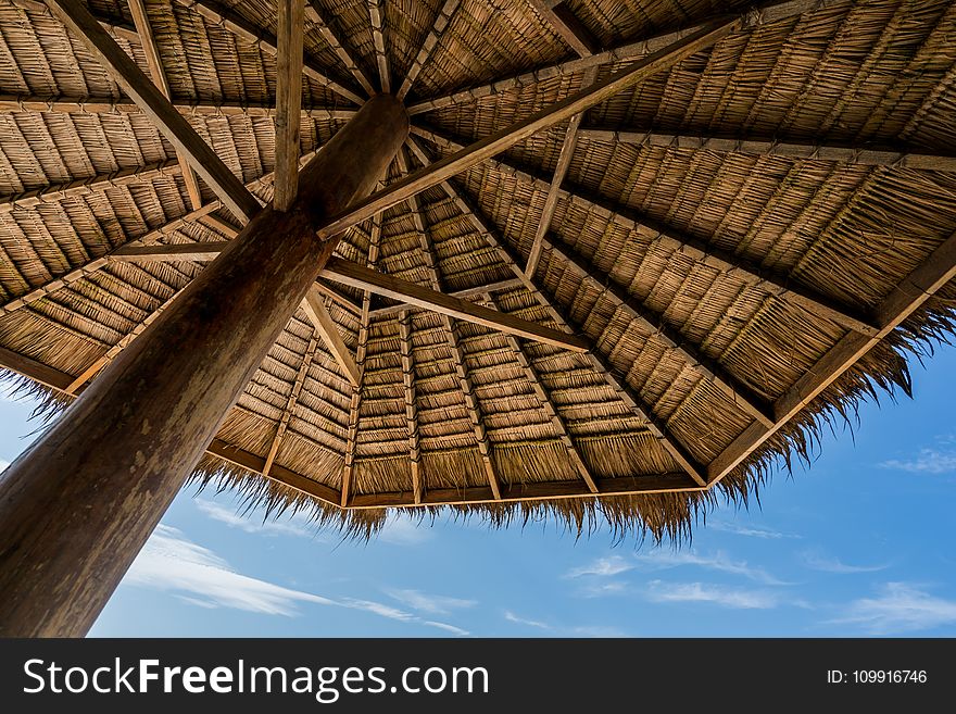 Low Angle Photography of Brown Coconut Hut