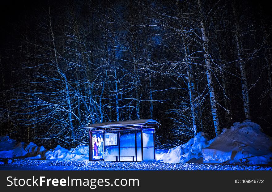 Photography of Bus Stop During Winter