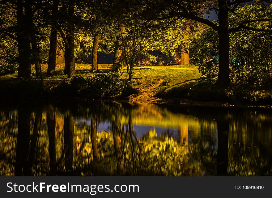 Lake Beside Forest Photography