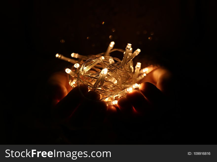 Person Holds White String Lights