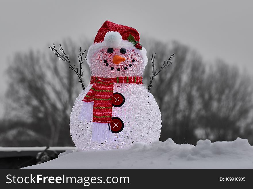 Close-Up Photography Of Snowman