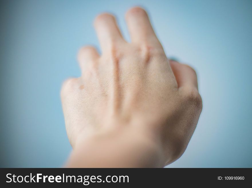 Left Human Hand