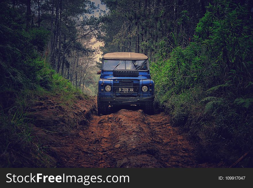 Blue Car On Dirt Road Between Green Leaf Trees