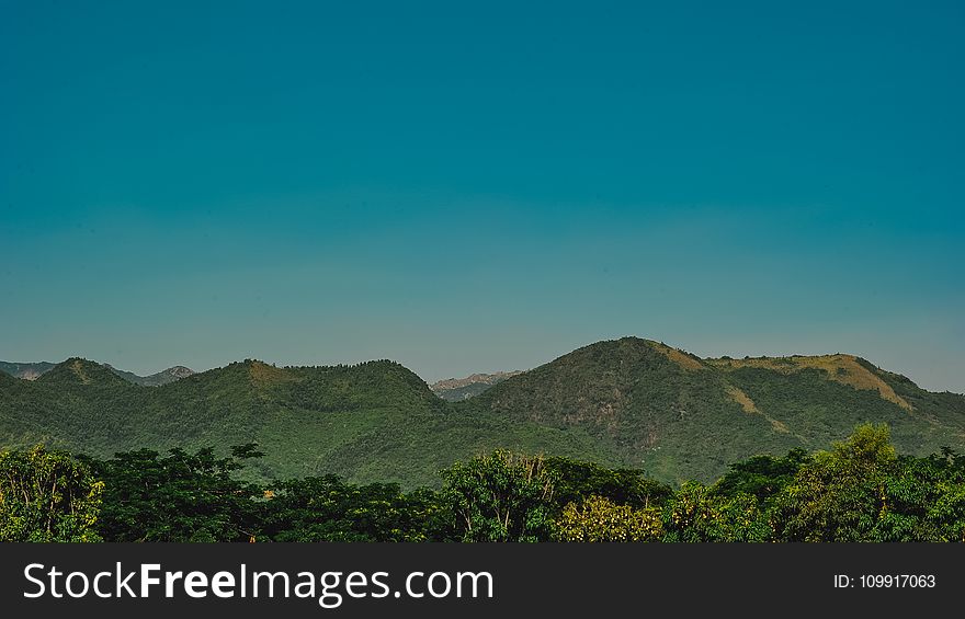 Photo of Forest Trees Near Mountains