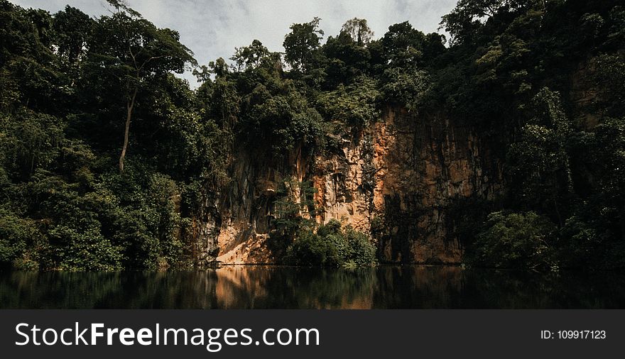 Trees On Rock Cliff Under Cloudy Sky