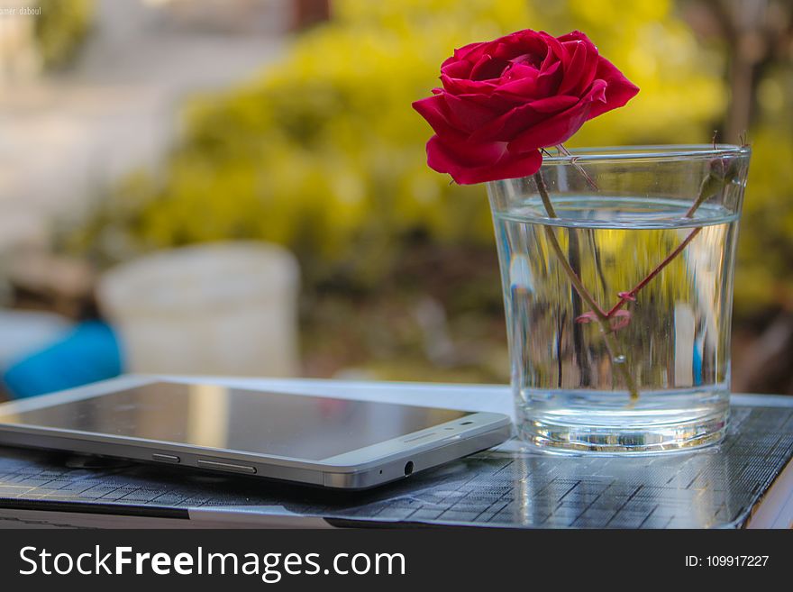 White Android Smartphone Near Clear Glass Vase With Red Rose