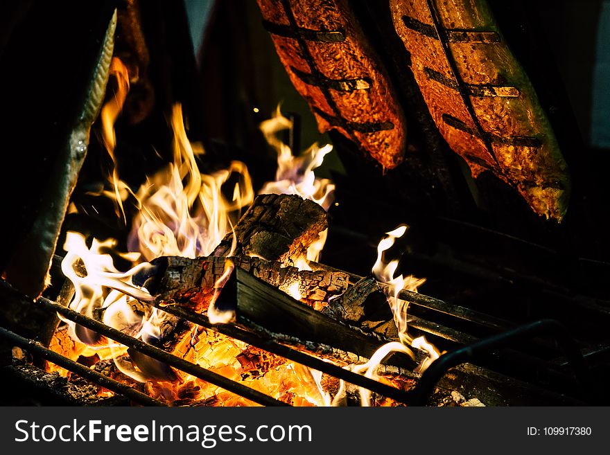 Focal Point Photo of Burning Wood in Black Steel Grate
