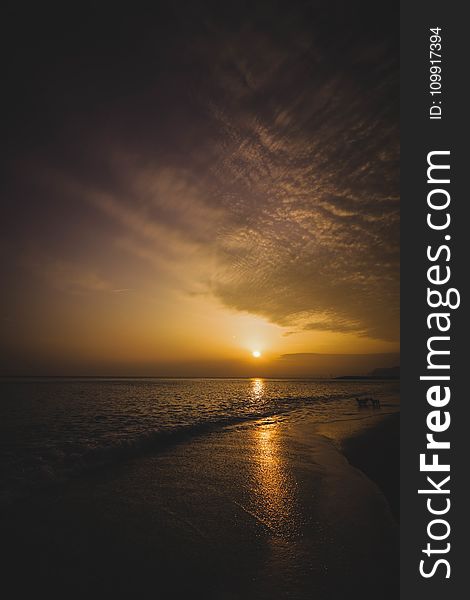 Ocean Horizon during Sunset in Landscape Photography