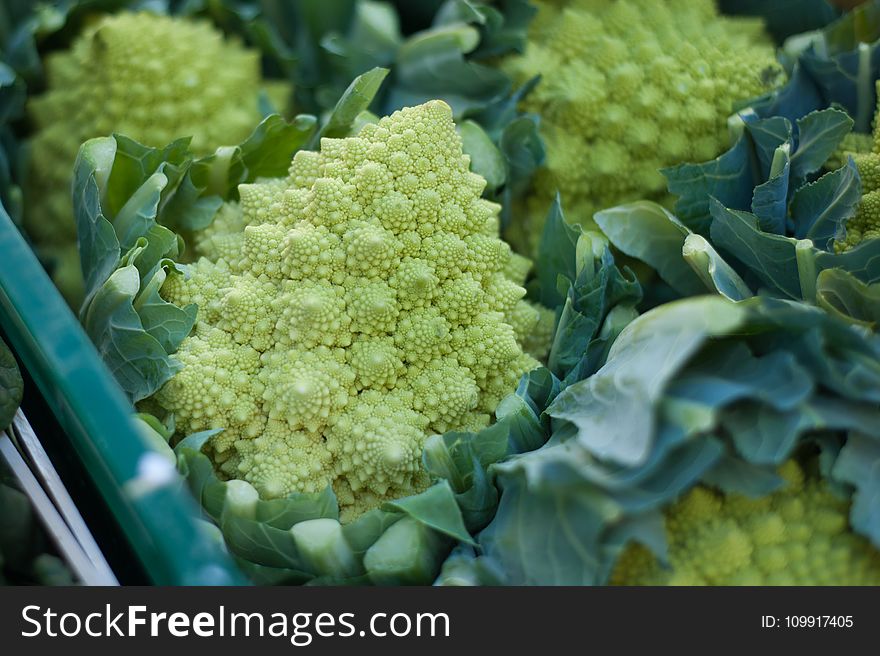 Broccoli, Close-up, Colors