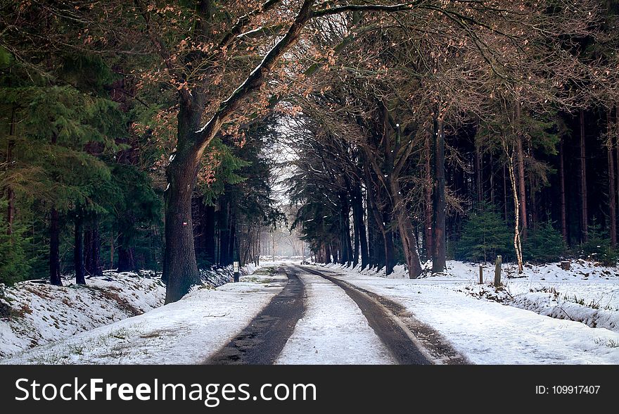 Photography of Road during Winter Season