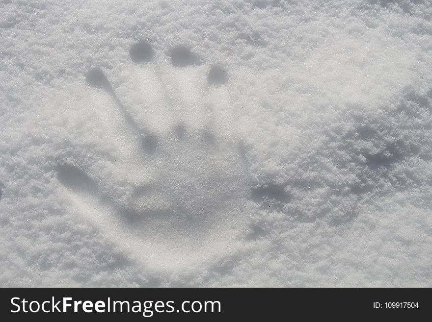 Hand Print On Snow