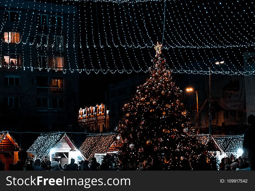 Christmas Tree With Decorations during Nighttime