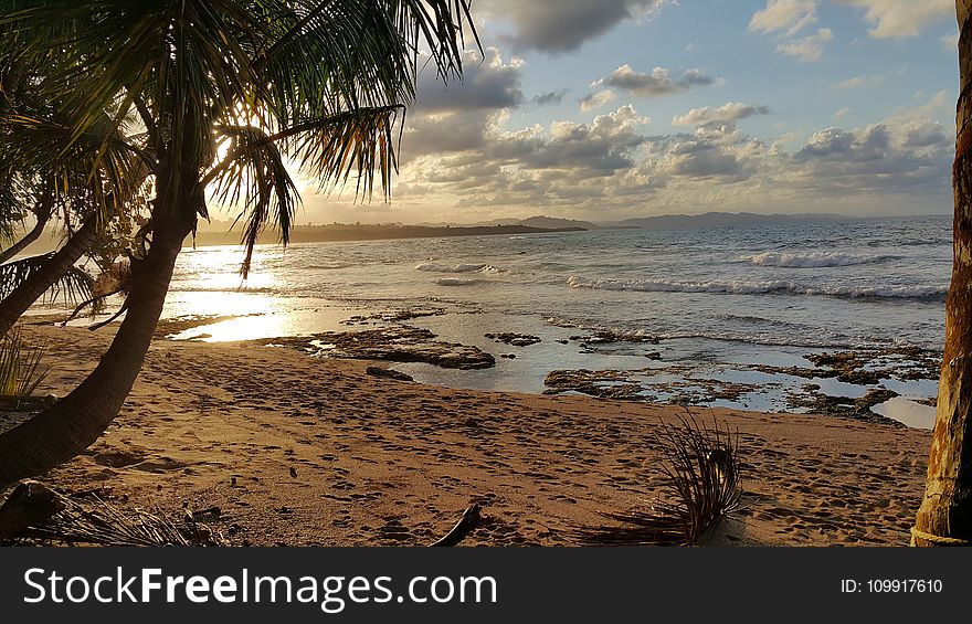 Landscape Photo Of Beach Under Partly Cloudy Skies