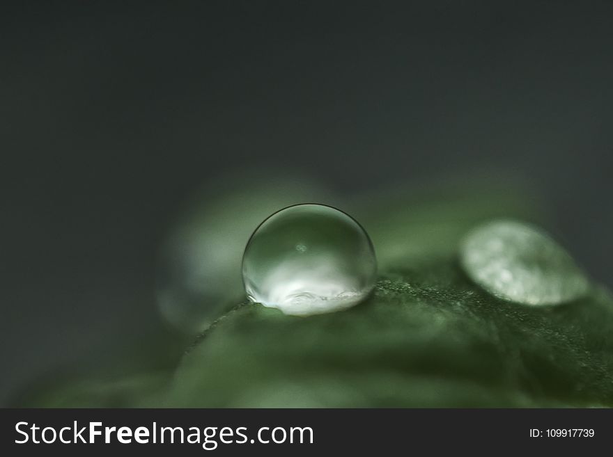 Clear, Dew, Droplet