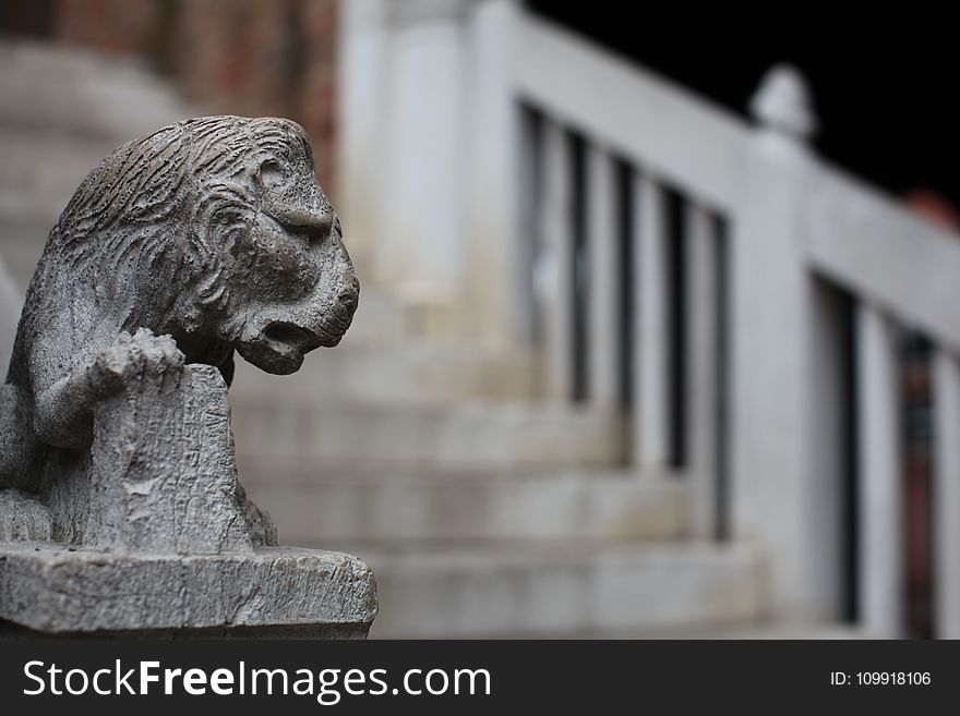 Selective Focus Photography Of Gray Concrete Lion Head Stairs Decoration At Daytime