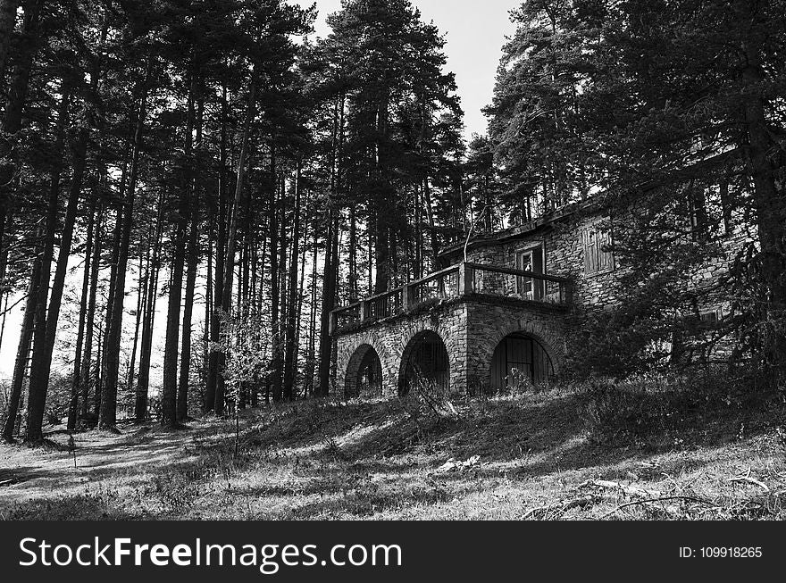 Black and White Photography of a Bricked Wall House