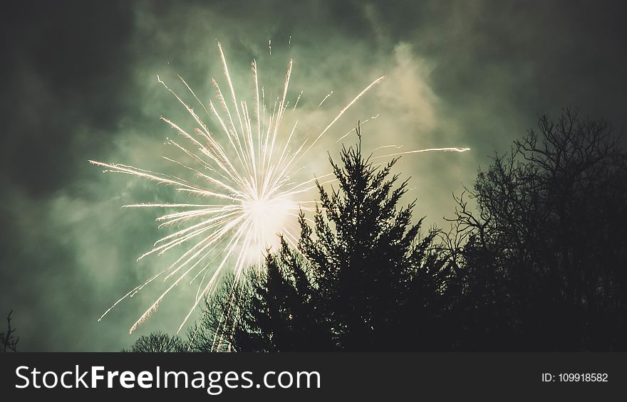 Fireworks Display Above Trees