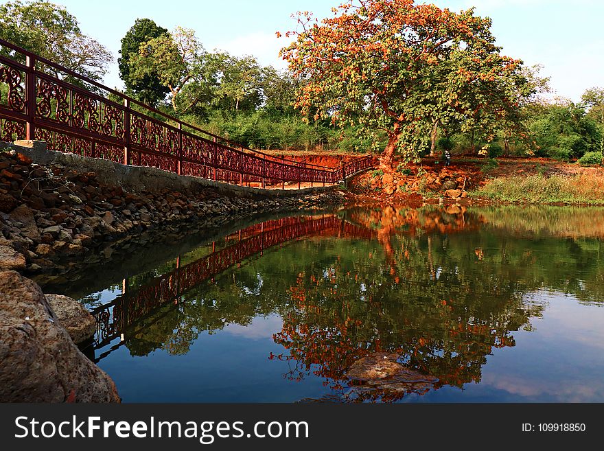 Reflection of a Tree on Body of Water Beside a Bridge Under Calm Blue Sky