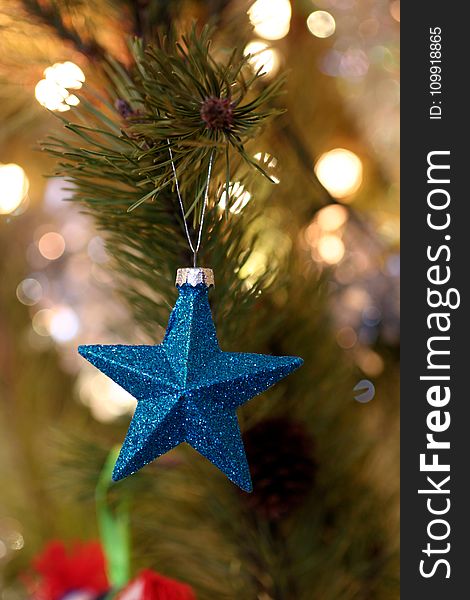 Shallow Focus Photography of Blue Star Christmas Tree Decor