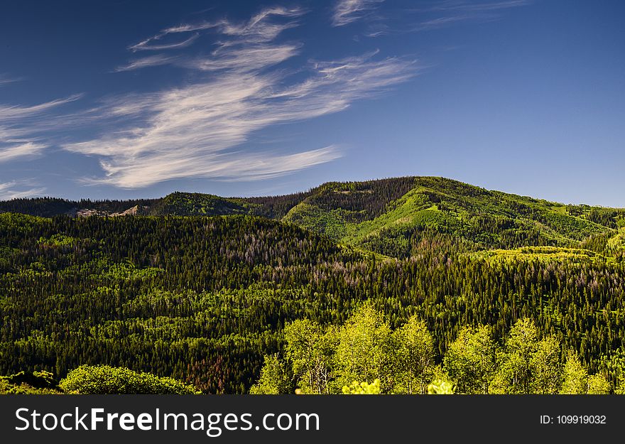 Green Tress and Mountain Under Blue Sky